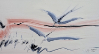 Salih Acar
