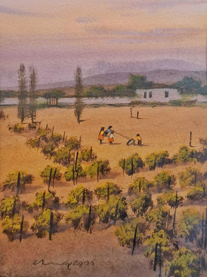 Vahap Demirbaş 