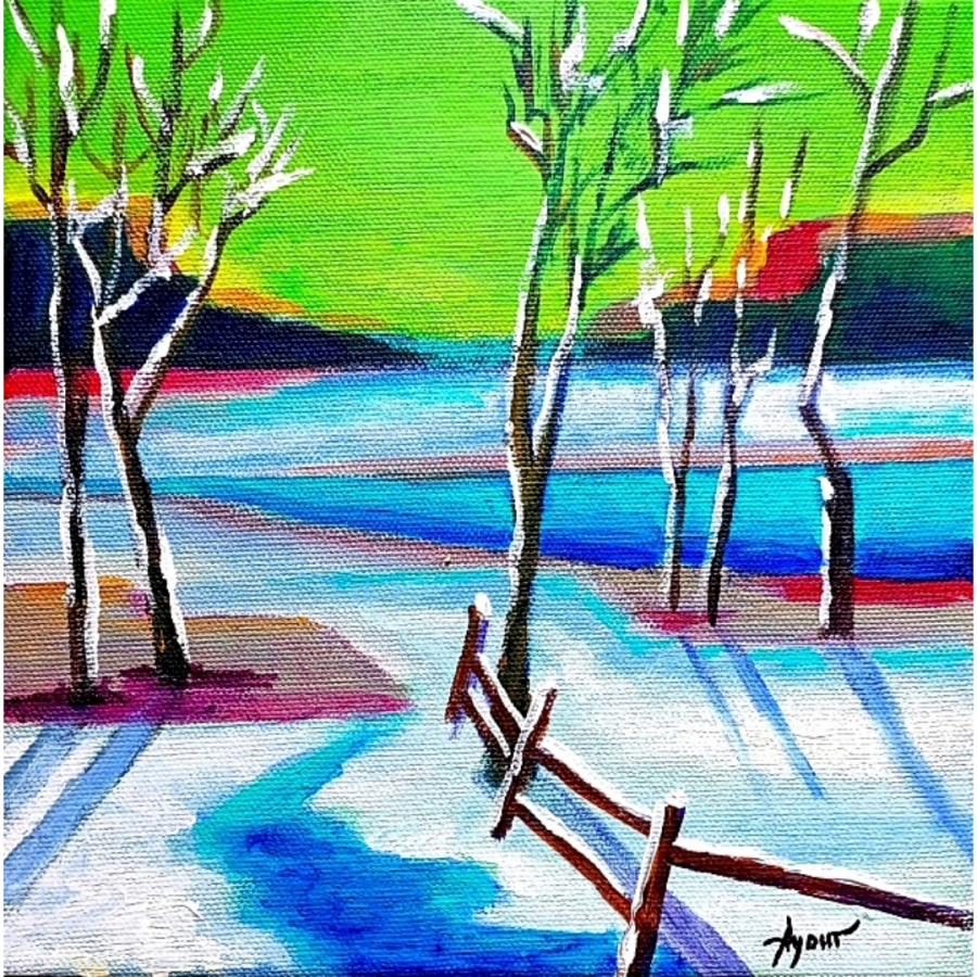 Aynur Mahmudova Kaplan 