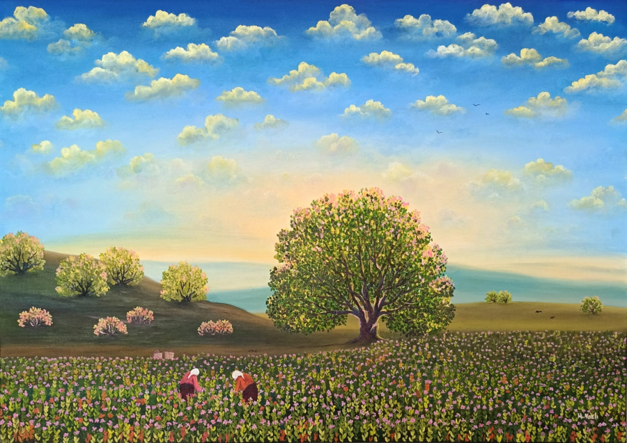 Hatice Nazlı Seygan