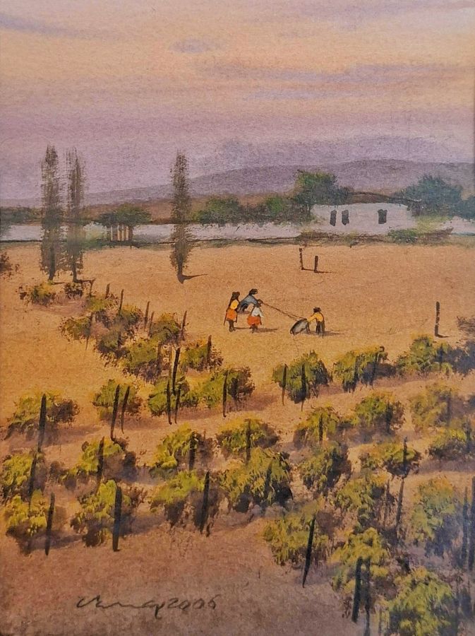 Vahap Demirbaş 