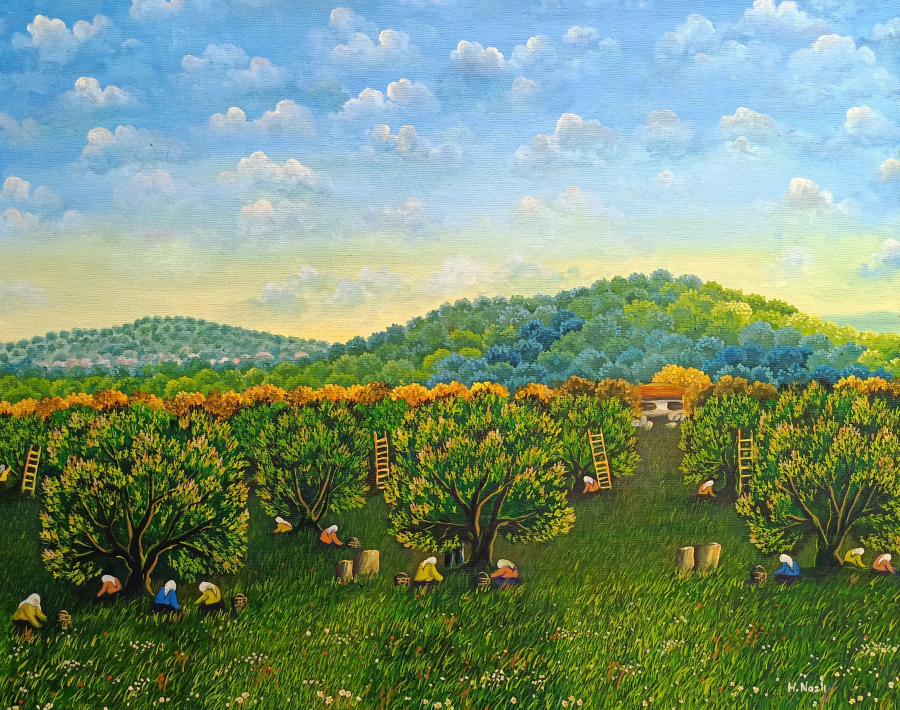 Hatice Nazlı Seygan 